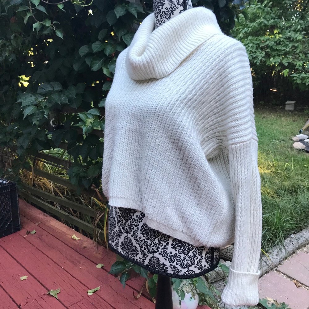 Express cropped sweater